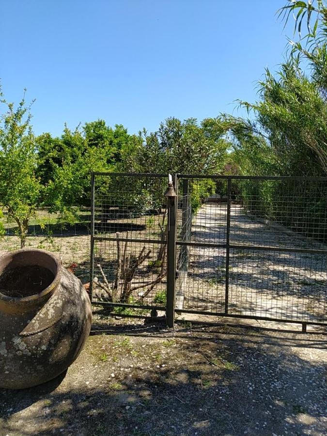Quinta Da Ponte Das Hortas 3 Elvas Eksteriør billede